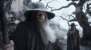 The-Hobbit-The-Desolation-of-Smaug-Gandalf-Radagast