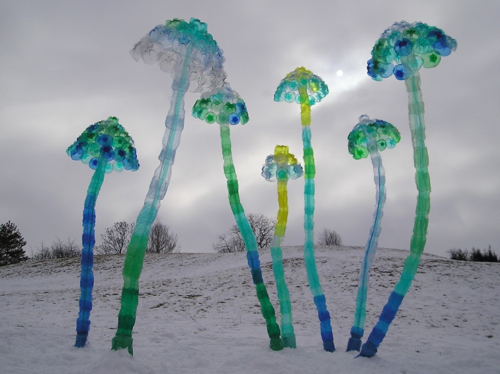 "Mushrooms" (2005) - Veronika Richetrová