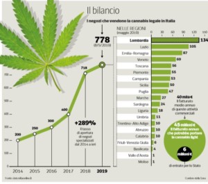 45 milioni di entrate, di cui 6 verso lo stato, per la legalizzazione della cannabis light